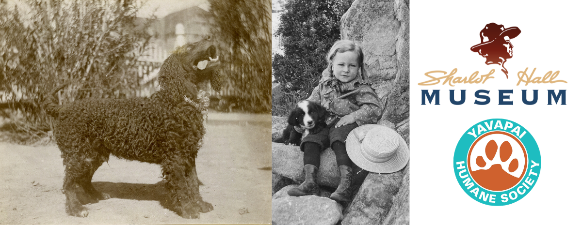 SHM Lecture Series: 4/4/2026 - “The History of Man's Best Friend"